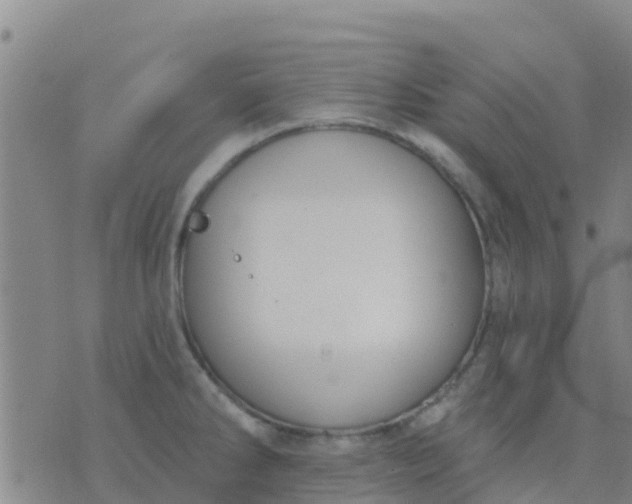 X0000074321286200609081958