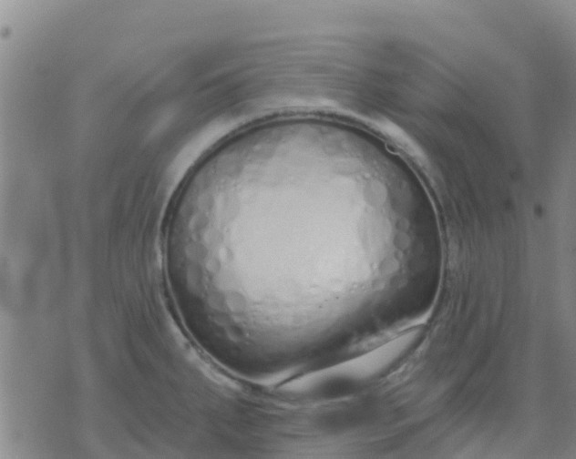 X0000074321287200609081958