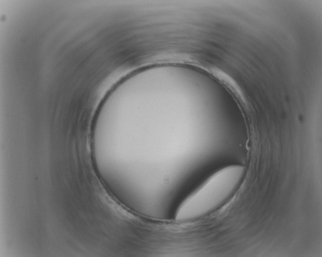 X0000074321288200609081958