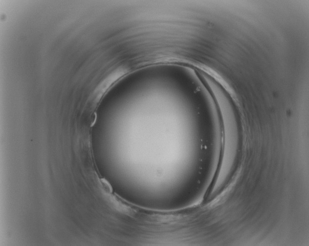 X0000074321289200609081958