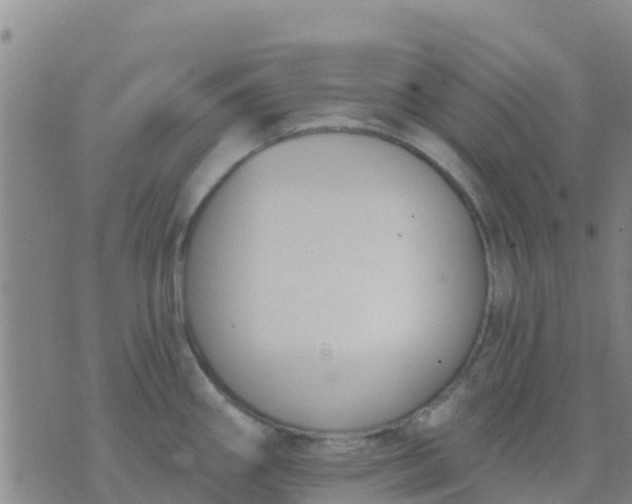 X0000074321290200609081958