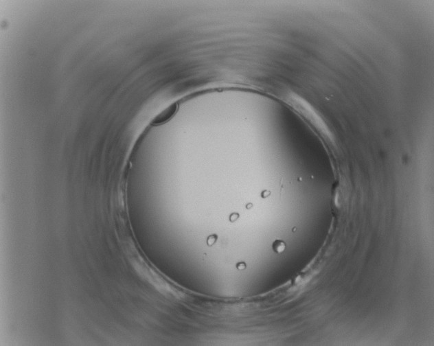 X0000074321292200609081958