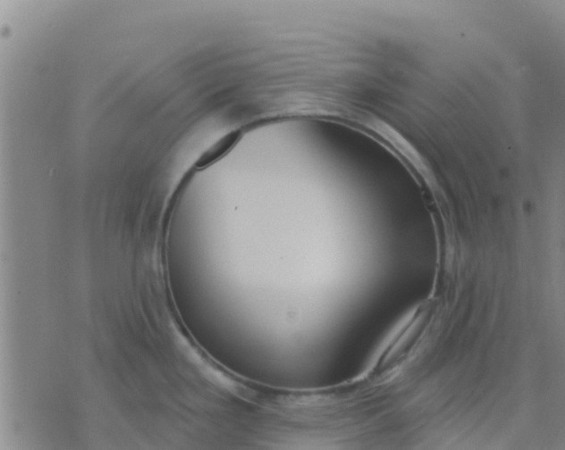 X0000074321293200609081958