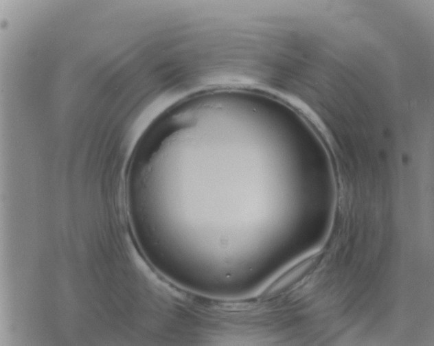 X0000074321295200609081957