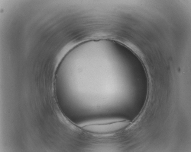 X0000074321296200609081957