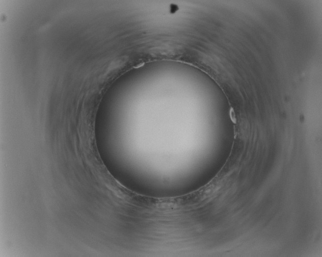 X0000074321297200609081957