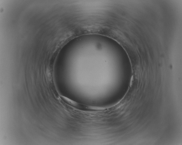 X0000074321298200609081957