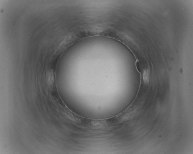 X0000074321299200609081957