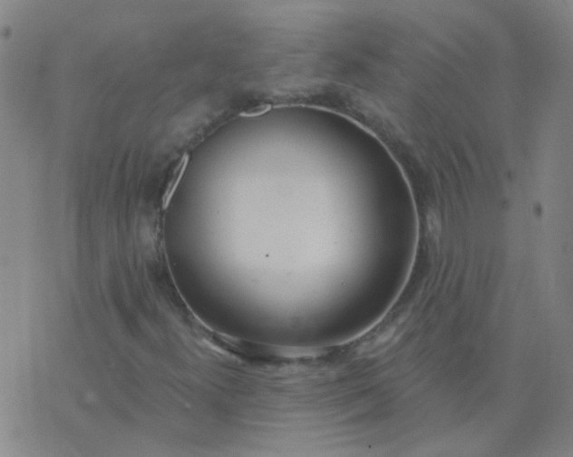 X0000074321300200609081957