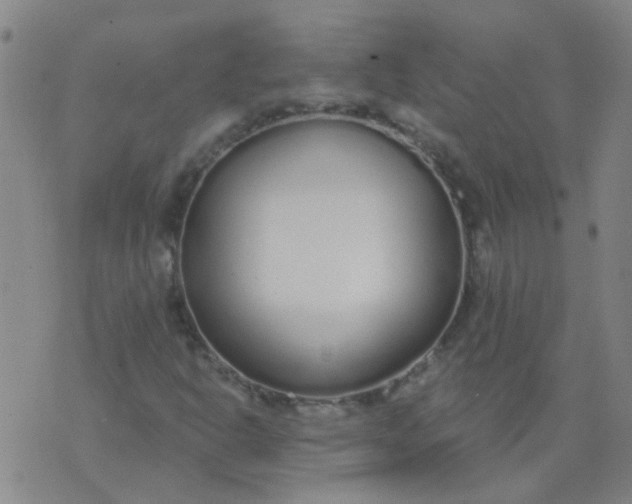 X0000074321302200609081957