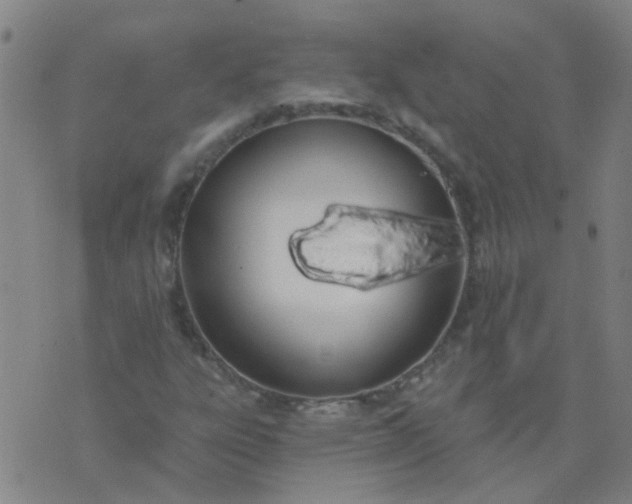 X0000074321303200609081957