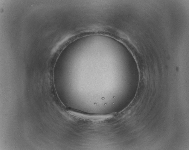 X0000074321304200609081957