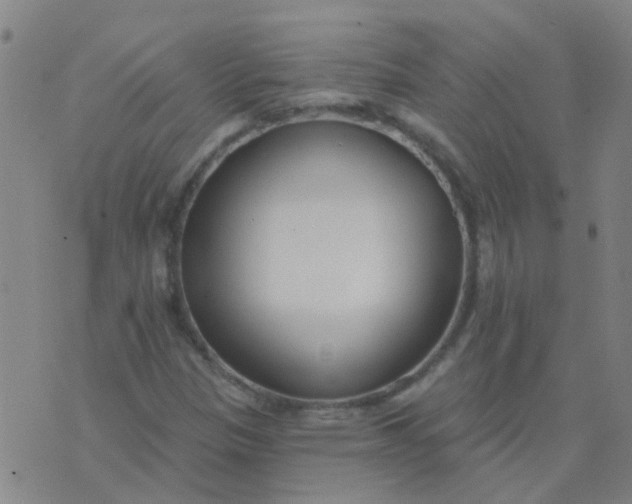 X0000074321305200609081957