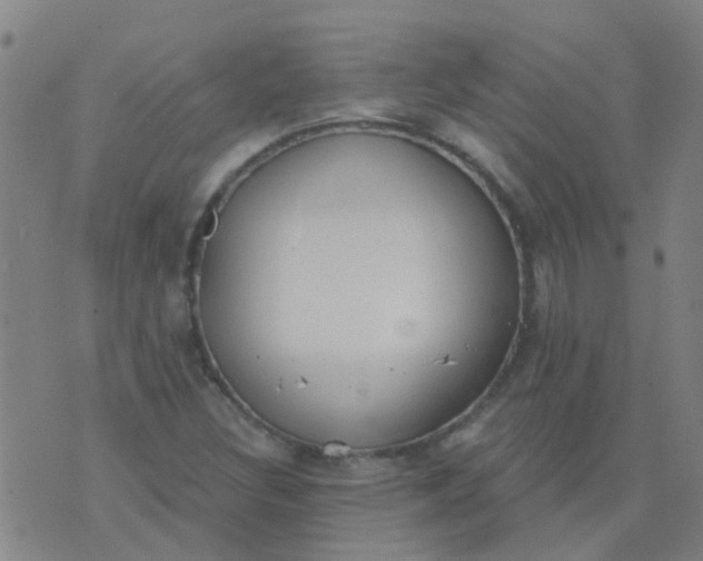 X0000074321308200609081957