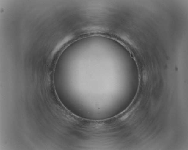 X0000074321309200609081957