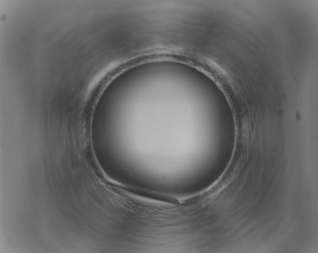 X0000074321310200609081957