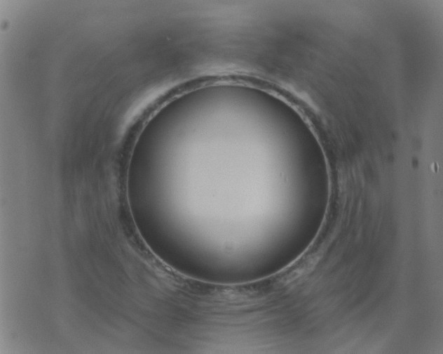 X0000074321311200609081957