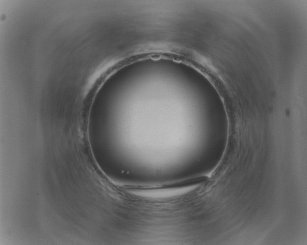 X0000074321312200609081957