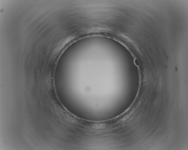 X0000074321313200609081957