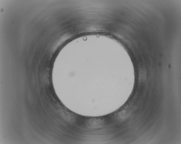 X0000074321314200609081957