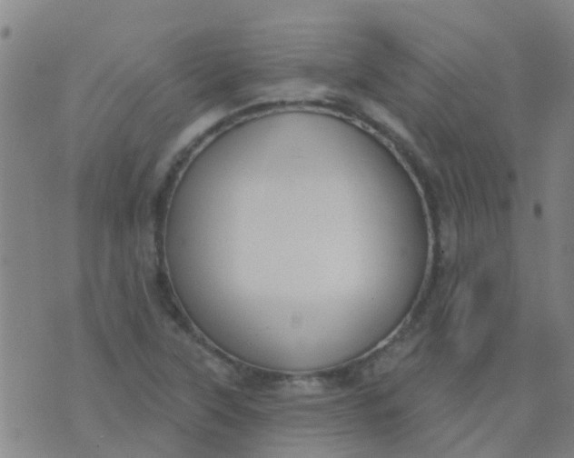 X0000074321315200609081957