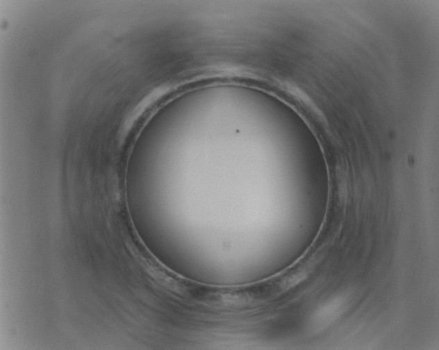 X0000074321318200609081957