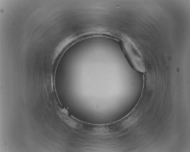 X0000074321320200609081957