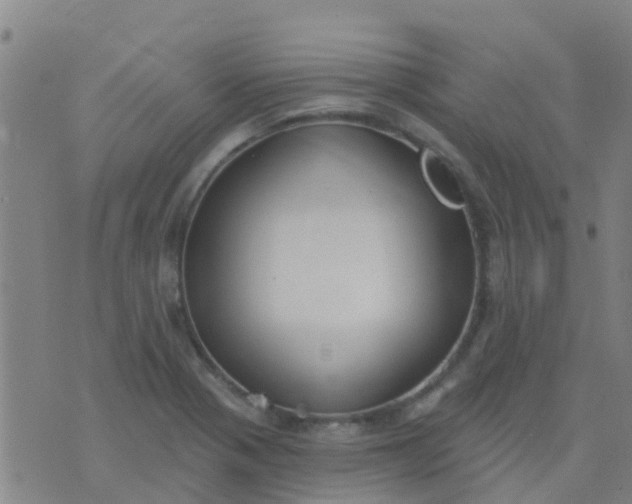 X0000074321321200609081957