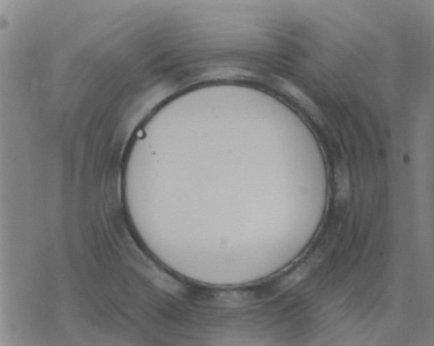 X0000074321322200609081957