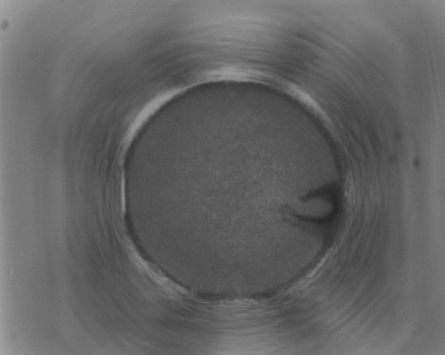 X0000074321323200609081957