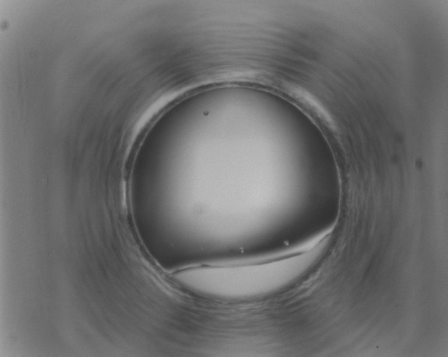 X0000074321324200609081957