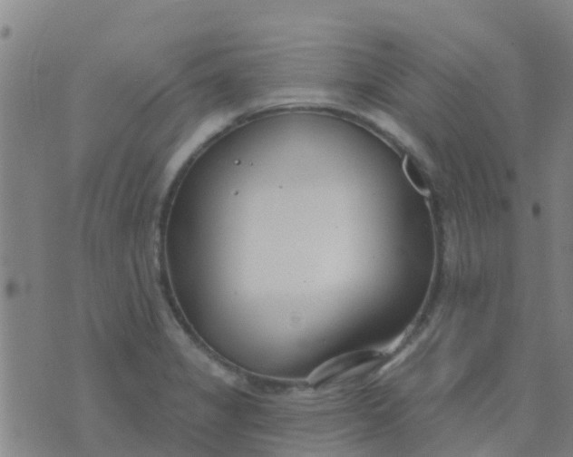 X0000074321325200609081957