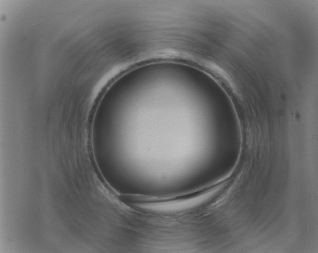 X0000074321326200609081957