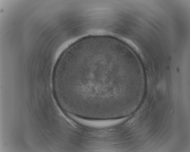 X0000074321327200609081957