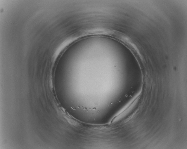 X0000074321328200609081957