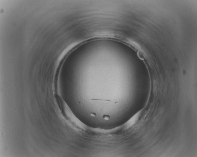 X0000074321331200609081957