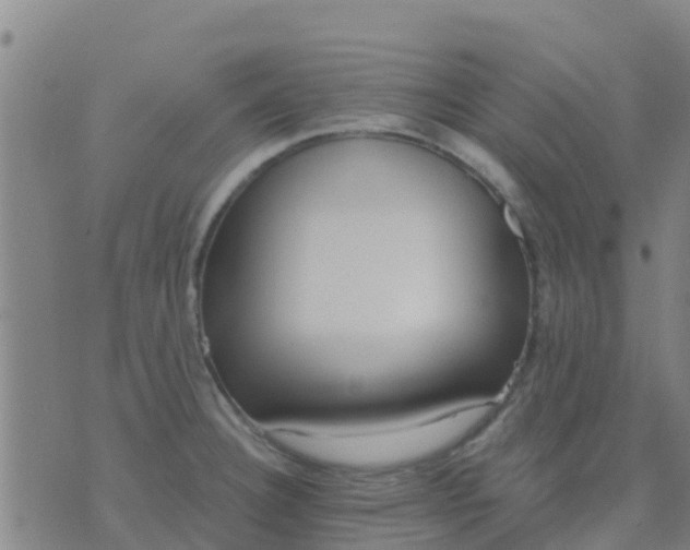 X0000074321332200609081957