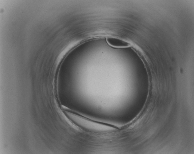 X0000074321333200609081957