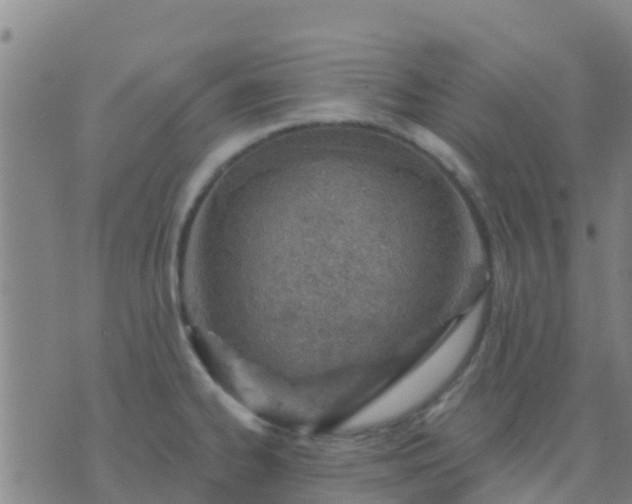 X0000074321334200609081957