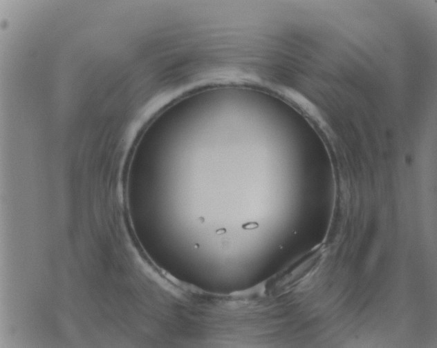 X0000074321335200609081957