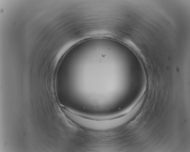 X0000074321336200609081957