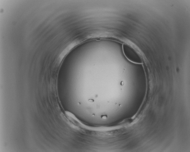 X0000074321337200609081957