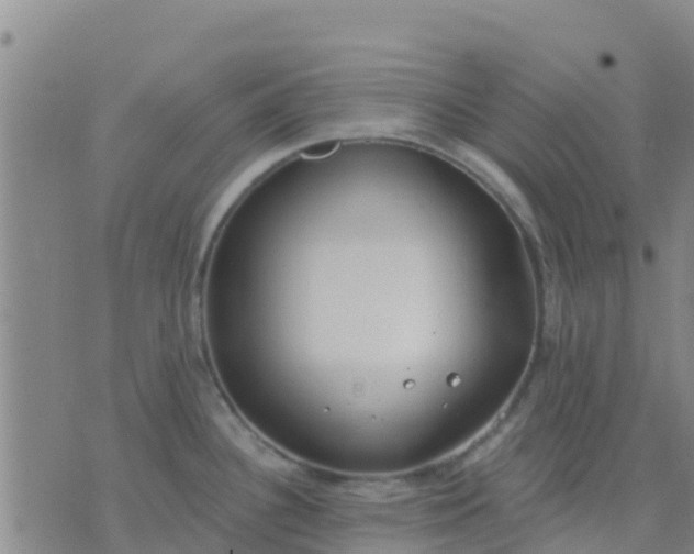 X0000074321340200609081957