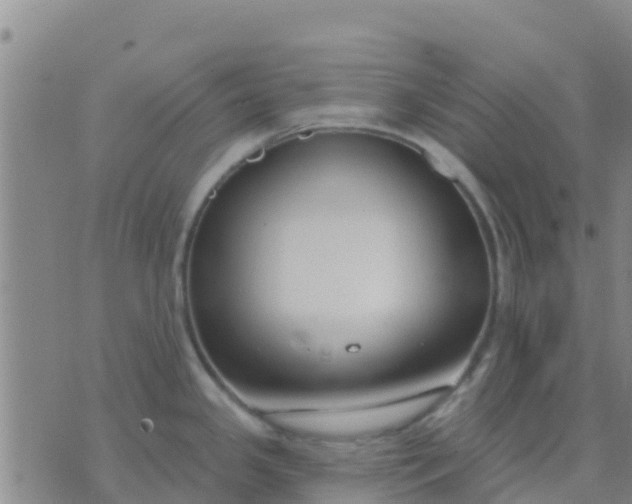 X0000074321341200609081957