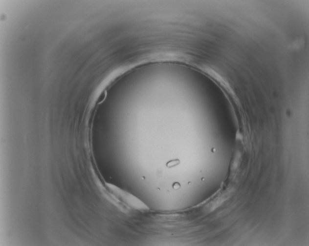 X0000074321342200609081957