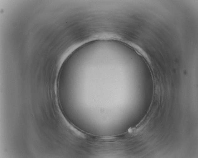 X0000074321343200609081957