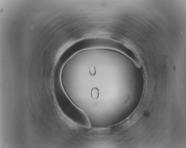 X0000074321344200609081957