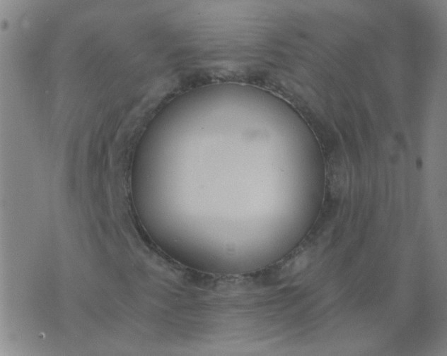 X0000074321345200609081957