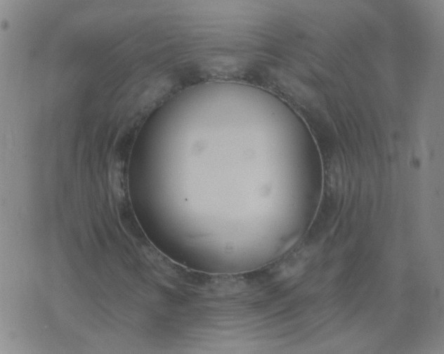 X0000074321346200609081957