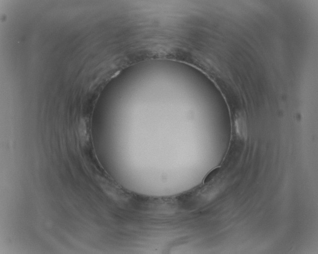 X0000074321347200609081957